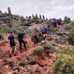 E892A946-2CED-4801-9218-0204F931A91C